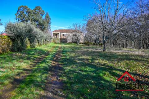 Quinta T6 com 10.500m² de terreno para venda no Sátão