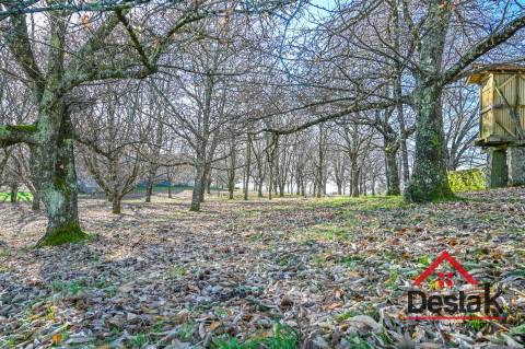 Quinta T6 com 10.500m² de terreno para venda no Sátão