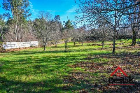 Quinta T6 com 10.500m² de terreno para venda no Sátão