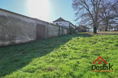 Quinta T6 com 10.500m² de terreno para venda no Sátão