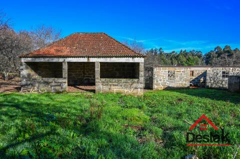 Quinta T6 com 10.500m² de terreno para venda no Sátão