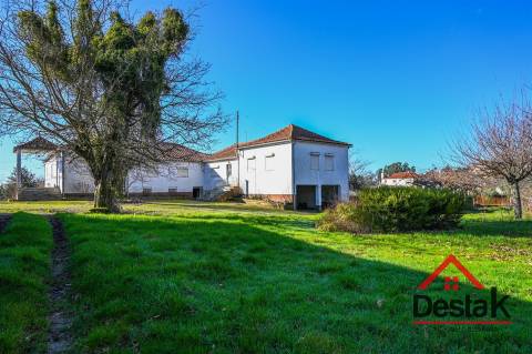 Quinta T6 com 10.500m² de terreno para venda no Sátão