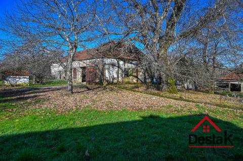 Quinta T6 com 10.500m² de terreno para venda no Sátão