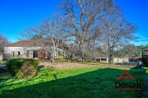 Quinta T6 com 10.500m² de terreno para venda no Sátão