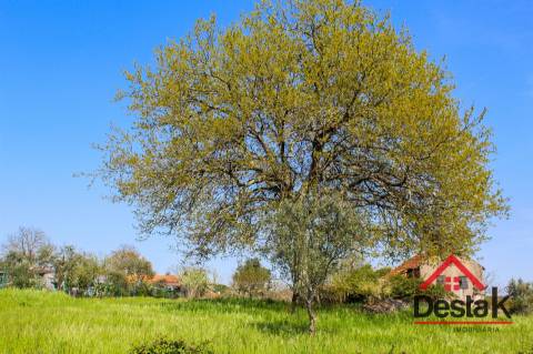 Terreno para construção