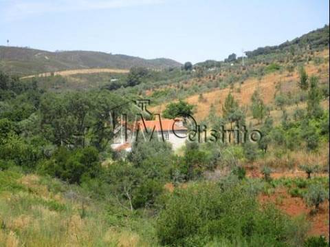 Quinta T4 Venda em Reguengo e São Julião,Portalegre