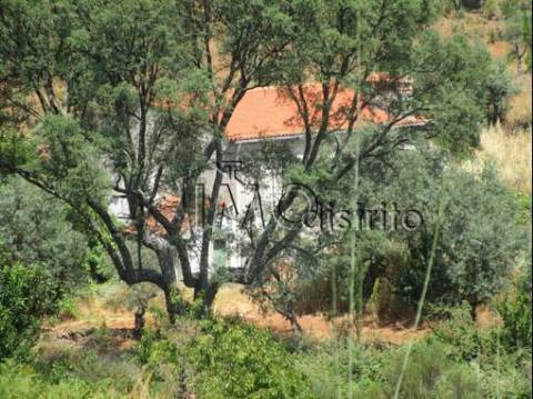Quinta T4 Venda em Reguengo e São Julião,Portalegre