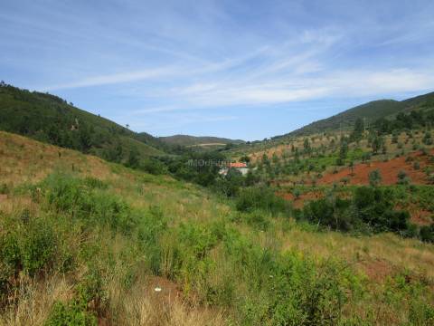 Quinta T4 Venda em Reguengo e São Julião,Portalegre