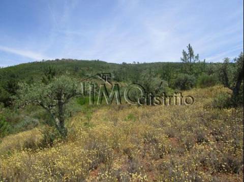 Quinta T4 Venda em Reguengo e São Julião,Portalegre