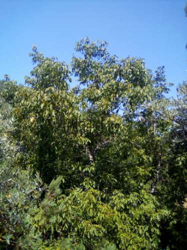 Quinta T4 Venda em Reguengo e São Julião,Portalegre