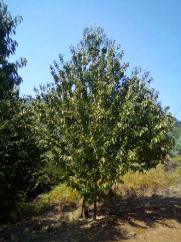 Quinta T4 Venda em Reguengo e São Julião,Portalegre