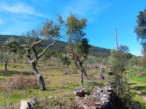 Terreno Rústico  Venda em São Salvador da Aramenha,Marvão