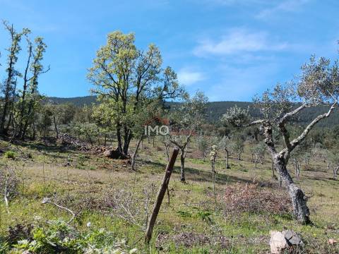 Terreno Rústico  Venda em São Salvador da Aramenha,Marvão