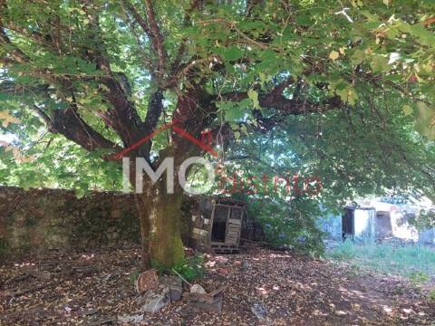 Quinta T3 Venda em Ribeira de Nisa e Carreiras,Portalegre