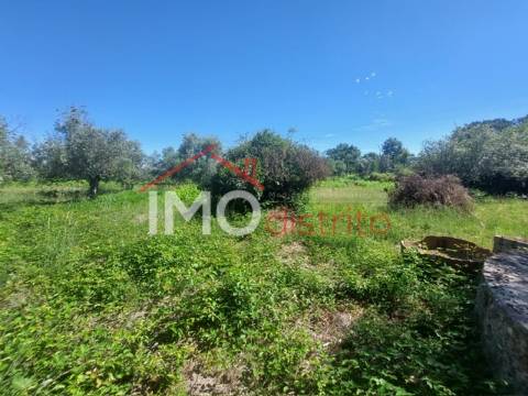 Quinta T3 Venda em Ribeira de Nisa e Carreiras,Portalegre