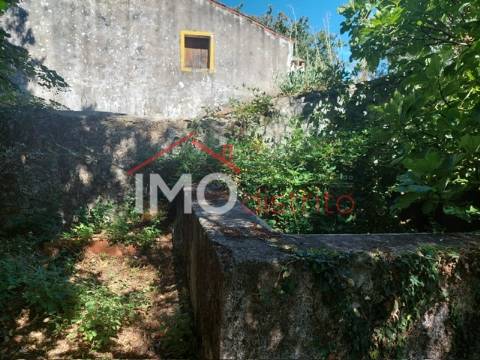 Quinta T3 Venda em Ribeira de Nisa e Carreiras,Portalegre
