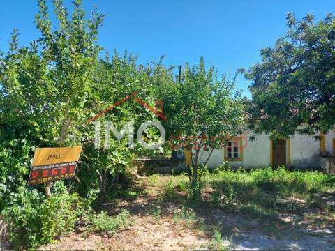 Quinta T3 Venda em Ribeira de Nisa e Carreiras,Portalegre