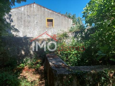 Quinta T3 Venda em Ribeira de Nisa e Carreiras,Portalegre