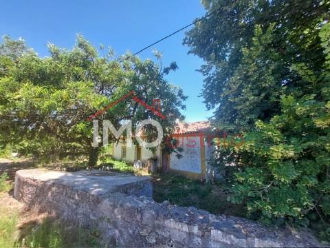 Quinta T3 Venda em Ribeira de Nisa e Carreiras,Portalegre