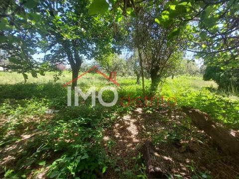 Quinta T3 Venda em Ribeira de Nisa e Carreiras,Portalegre