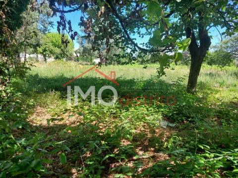 Quinta T3 Venda em Ribeira de Nisa e Carreiras,Portalegre