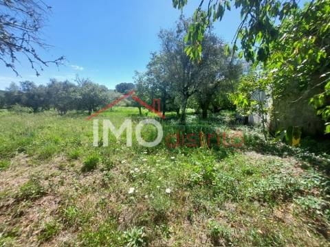 Quinta T3 Venda em Ribeira de Nisa e Carreiras,Portalegre