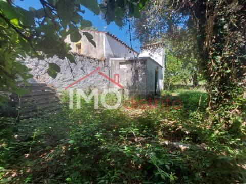 Quinta T3 Venda em Ribeira de Nisa e Carreiras,Portalegre