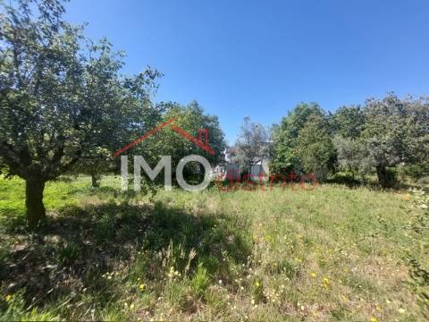 Quinta T3 Venda em Ribeira de Nisa e Carreiras,Portalegre