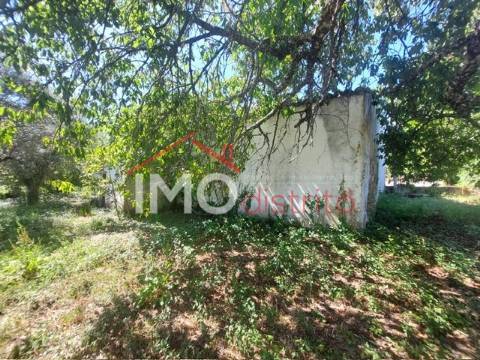 Quinta T3 Venda em Ribeira de Nisa e Carreiras,Portalegre