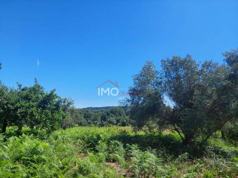 Quinta T3 Venda em Ribeira de Nisa e Carreiras,Portalegre