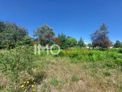 Quinta T3 Venda em Ribeira de Nisa e Carreiras,Portalegre