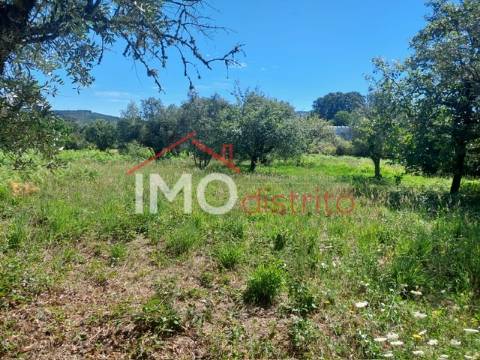 Quinta T3 Venda em Ribeira de Nisa e Carreiras,Portalegre