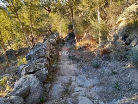 Terreno Rústico  Venda em Santa Maria de Marvão,Marvão