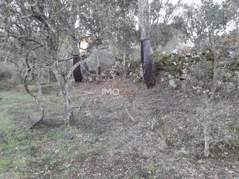 Terreno Rústico  Venda em Santa Maria de Marvão,Marvão