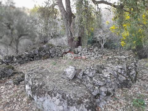 Terreno Rústico  Venda em Santa Maria de Marvão,Marvão