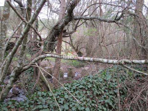 Terreno Rústico  Venda em Santa Maria de Marvão,Marvão