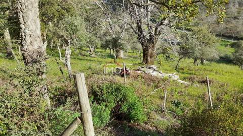 Terreno Rústico  Venda em São Salvador da Aramenha,Marvão