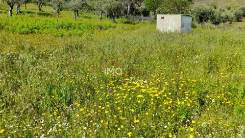 Terreno Rústico  Venda em São Salvador da Aramenha,Marvão