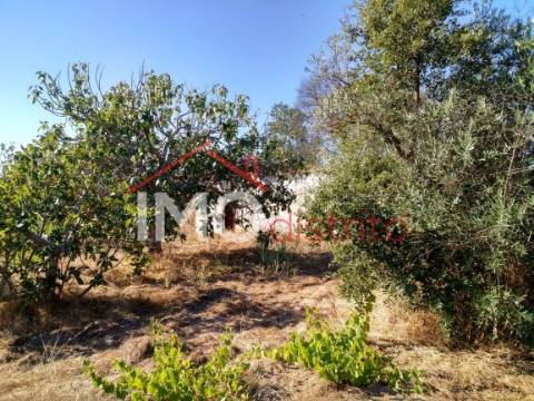 Terreno Rústico  Venda em Espírito Santo, Nossa Senhora da Graça e São Simão,Nisa