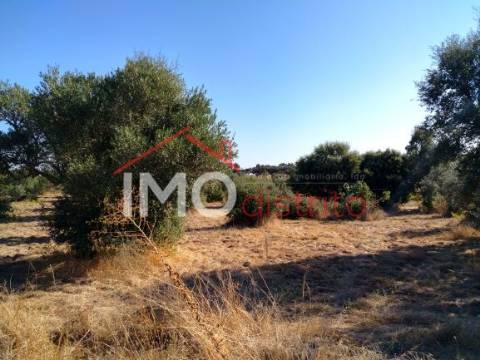 Terreno Rústico  Venda em Espírito Santo, Nossa Senhora da Graça e São Simão,Nisa
