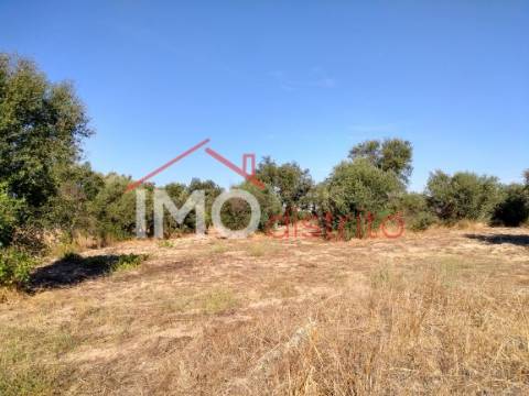 Terreno Rústico  Venda em Espírito Santo, Nossa Senhora da Graça e São Simão,Nisa