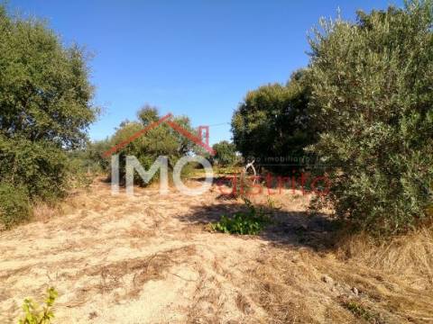 Terreno Rústico  Venda em Espírito Santo, Nossa Senhora da Graça e São Simão,Nisa