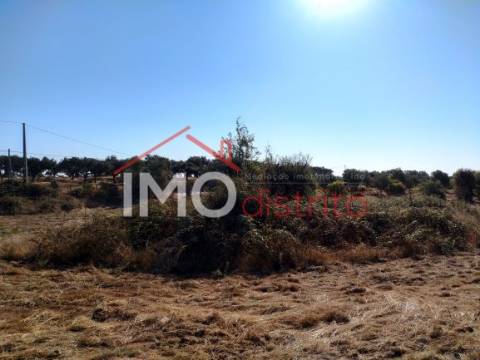 Terreno Rústico  Venda em Espírito Santo, Nossa Senhora da Graça e São Simão,Nisa