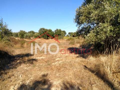 Terreno Rústico  Venda em Espírito Santo, Nossa Senhora da Graça e São Simão,Nisa