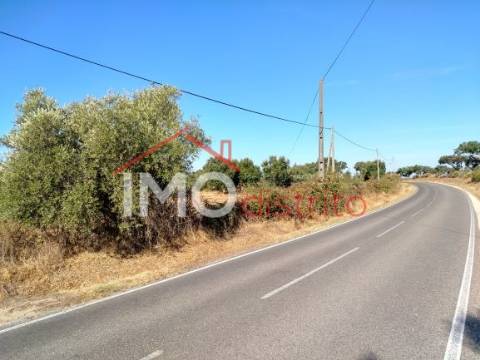 Terreno Rústico  Venda em Espírito Santo, Nossa Senhora da Graça e São Simão,Nisa