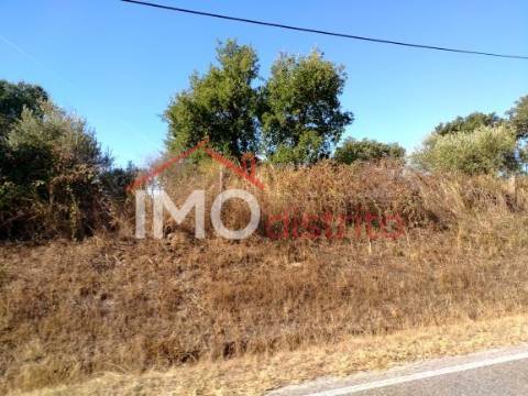 Terreno Rústico  Venda em Espírito Santo, Nossa Senhora da Graça e São Simão,Nisa