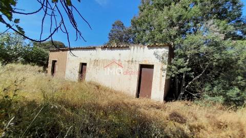 Terreno Rústico  Venda em Espírito Santo, Nossa Senhora da Graça e São Simão,Nisa