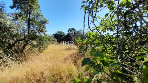 Terreno Rústico  Venda em Espírito Santo, Nossa Senhora da Graça e São Simão,Nisa