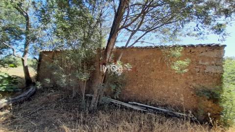 Terreno Rústico  Venda em Espírito Santo, Nossa Senhora da Graça e São Simão,Nisa