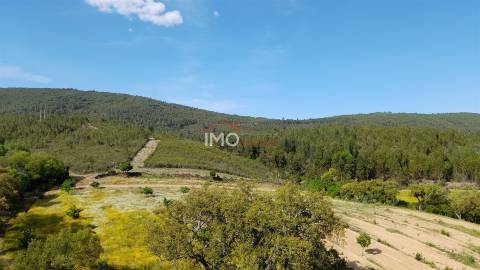 Terreno Rústico  Venda em Reguengo e São Julião,Portalegre